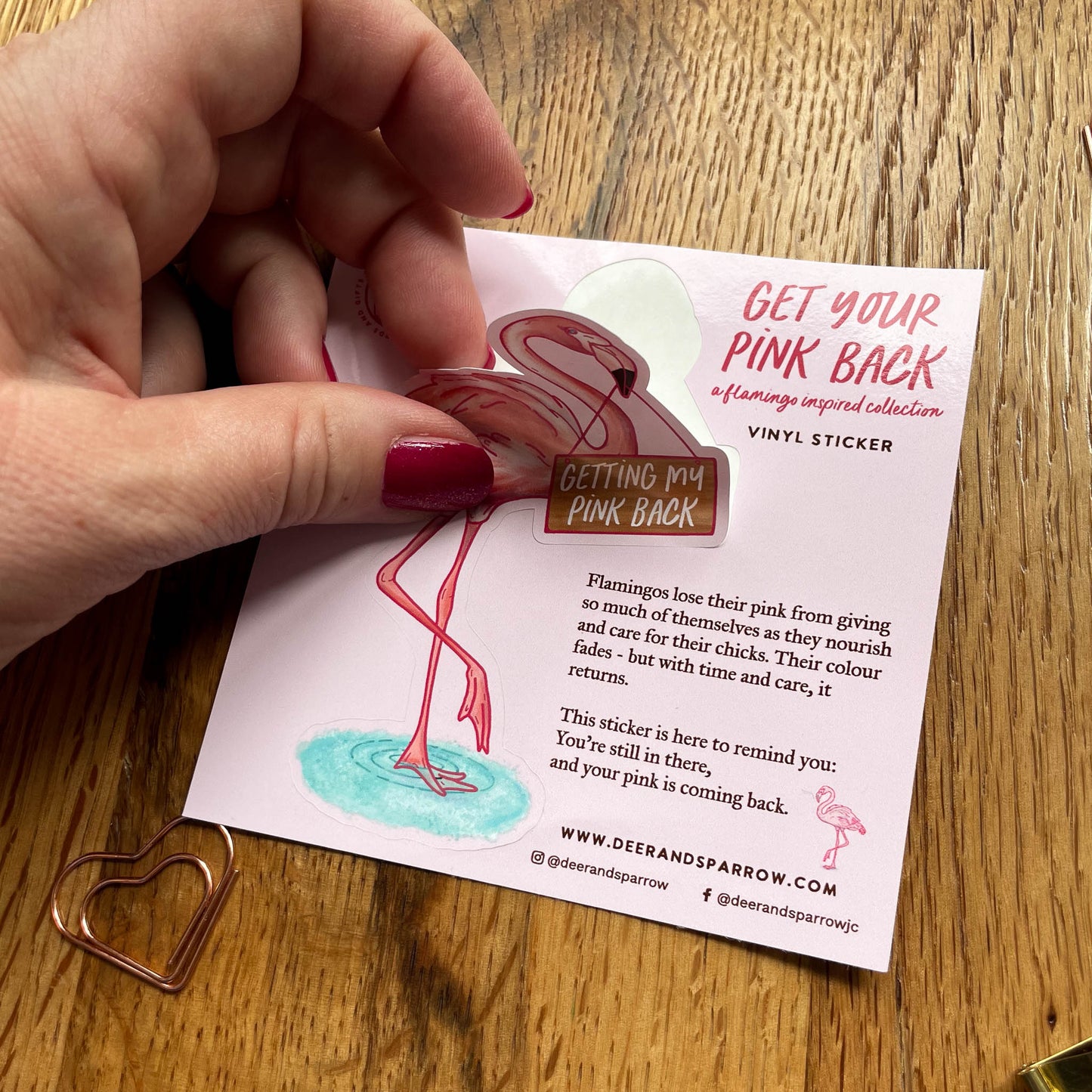 Flamingo Vinyl Sticker - Getting My Pink Back Collection