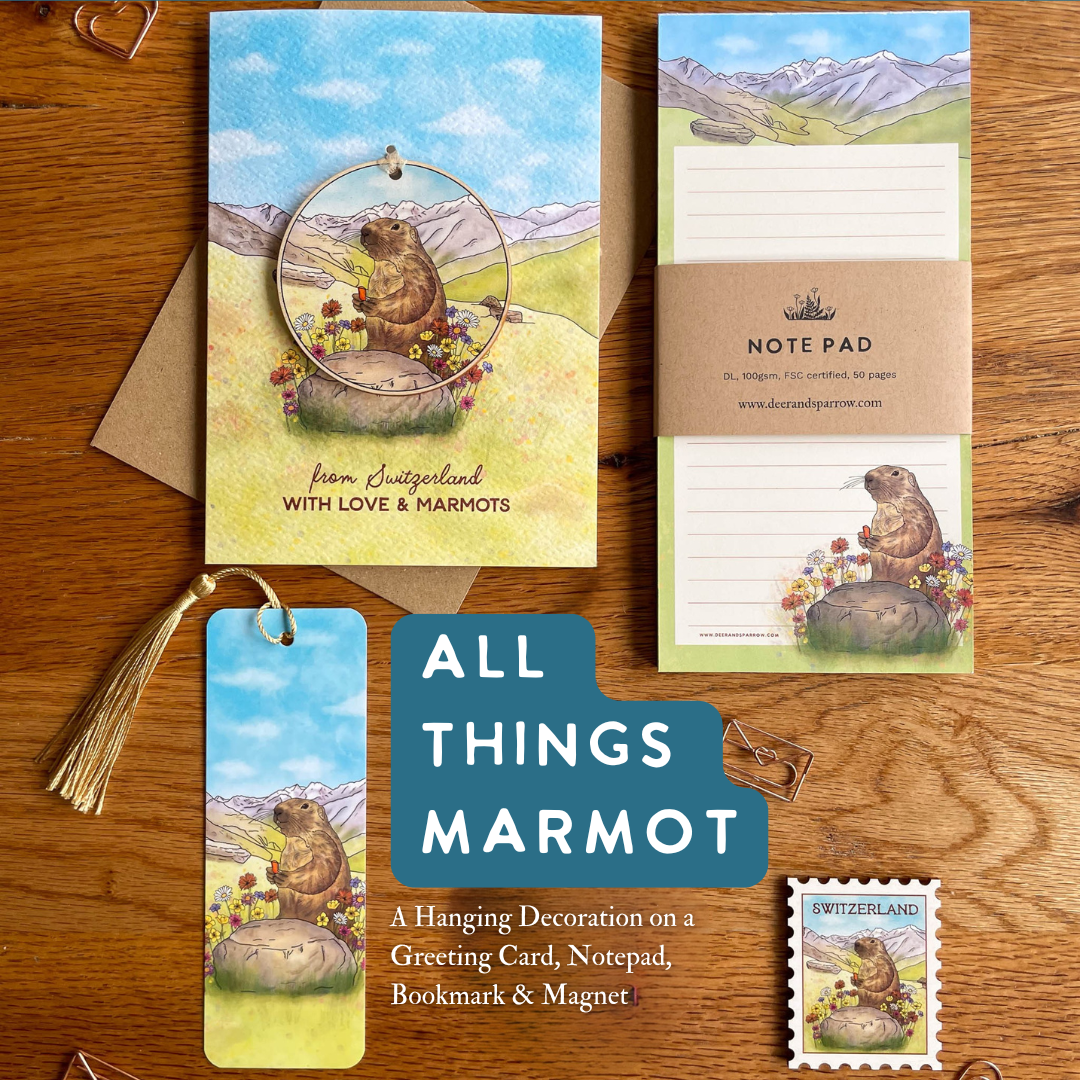 The Ultimate Marmot Bundle - All the Marmot Products in one click