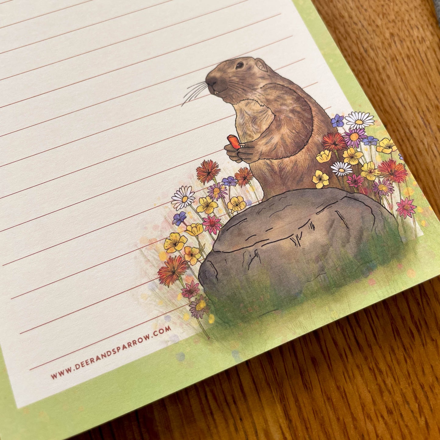 Marmot Notepad, Saas Valley, Switzerland