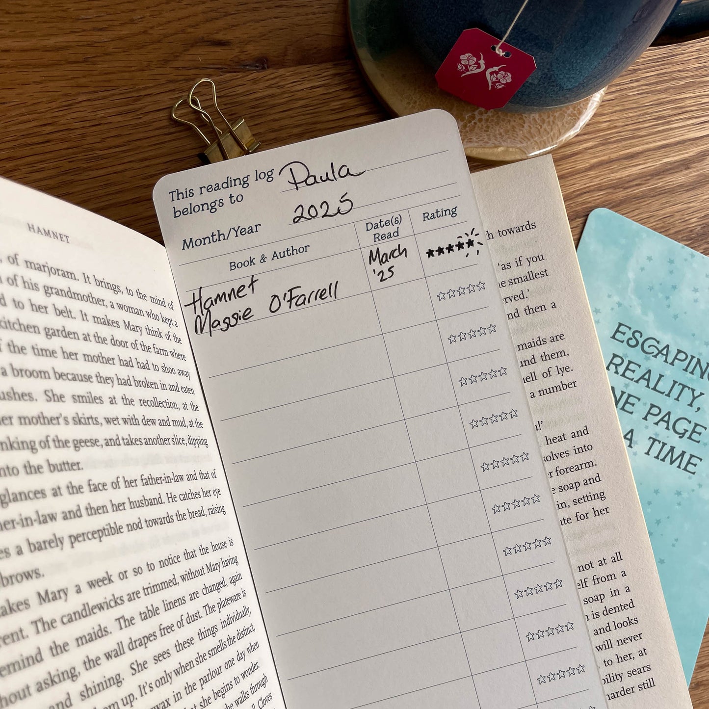 Reading Log Bookmark - Single, Set of 3, or Book Club Pack (10)