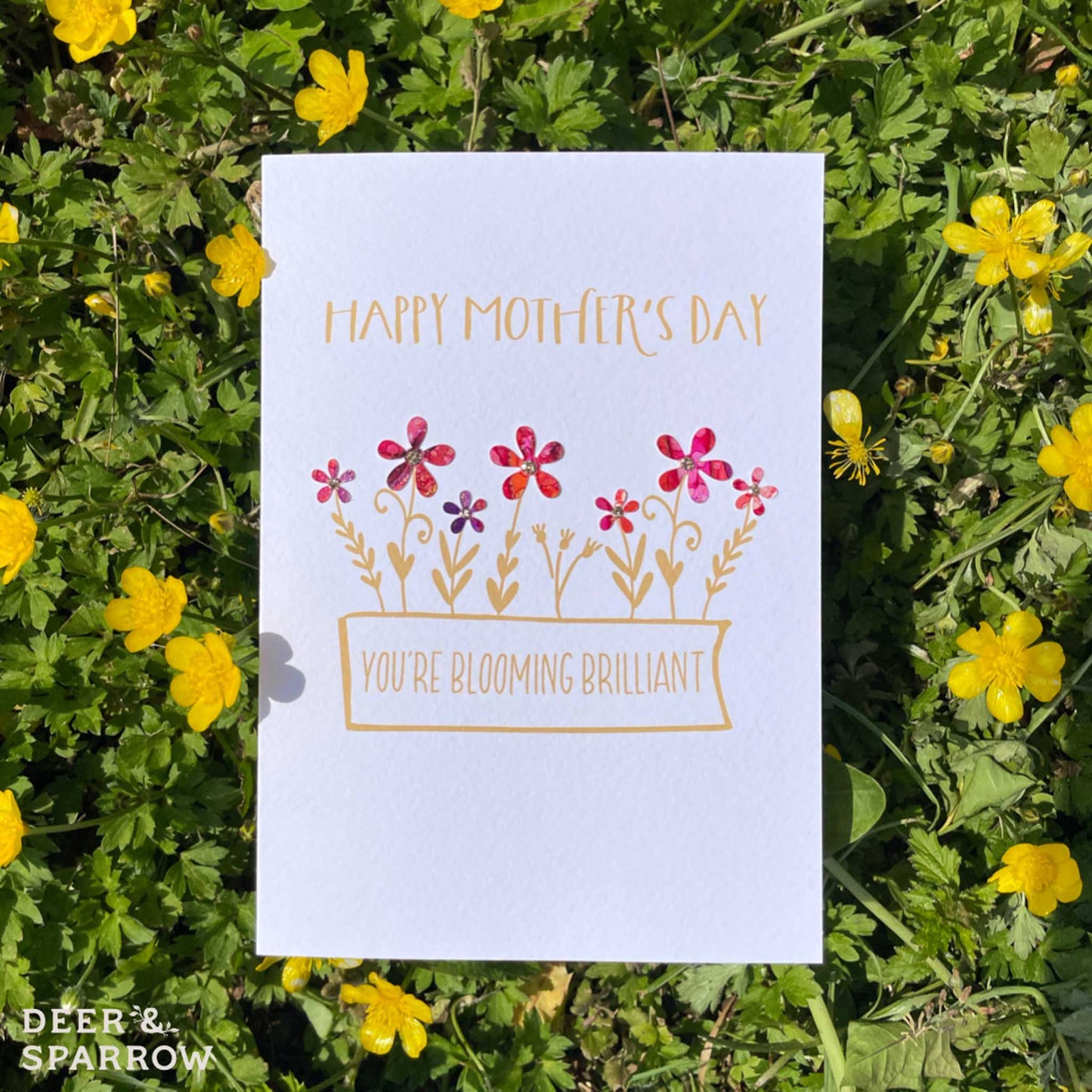 Mother's Day - You're Blooming Brilliant
